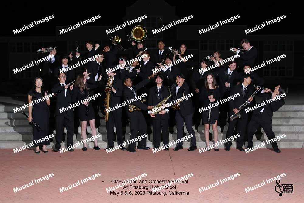 Musical Images